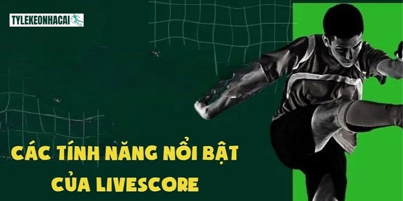 Công cụ hỗ trợ đa dạng tính năng để cược thủ thuận tiện theo dõi 